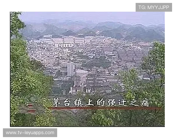 投资8亿元被强拆，茅台镇需营造更优环境，茅台镇上的强迁之痛